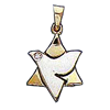 Diamond Star of David/Dove Pendant
