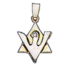 Diamond Star of David/Dove Pendant